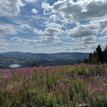 Апартаменты Bergmannsruh Клаусталь-Целлерфельд Экстерьер фото
